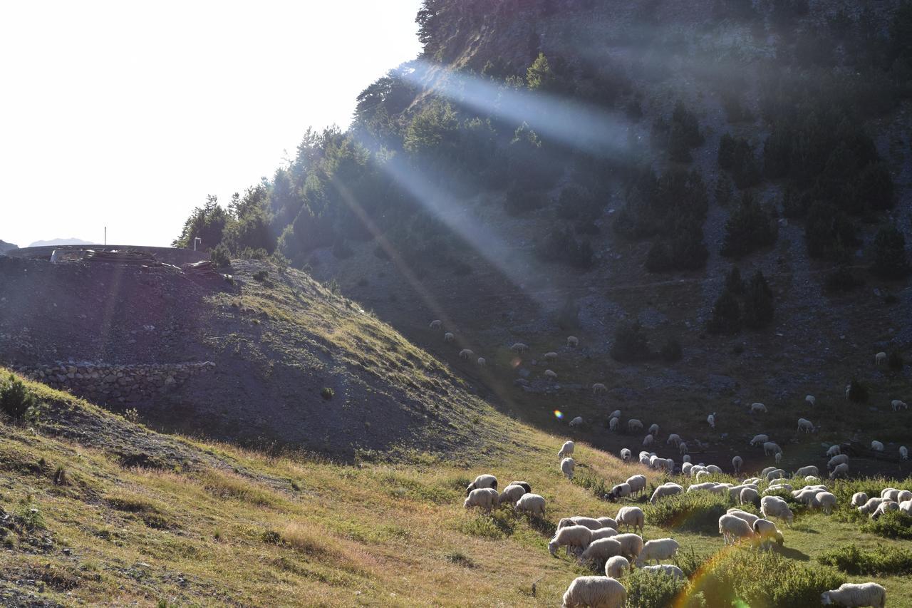 Hostel Buni I Bajraktarit Theth Exteriér fotografie